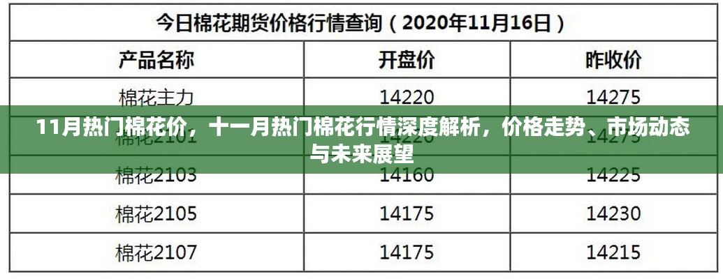 十一月棉花行情深度解析,价格走势、市场动态与未来展望
