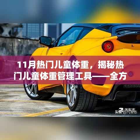 揭秘热门儿童体重管理工具,全方位解读产品特性、体验与竞品对比,助你掌握孩子体重健康状态!