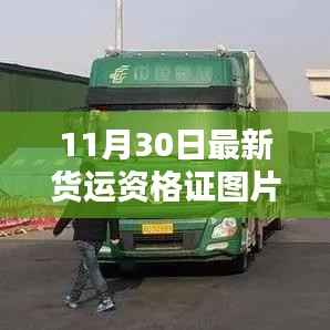 最新货运资格证图片获取攻略,11月30日版全解析