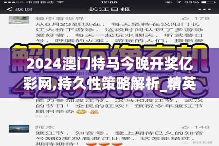 2024澳门特马今晚开奖亿彩网,持久性策略解析_精英款1.102-9