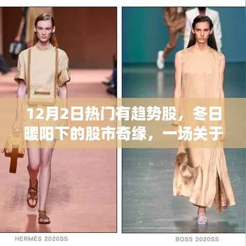 冬日暖阳下的股市奇缘,揭秘12月2日热门趋势股故事