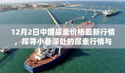 12月2日中国尿素价格最新动态,小巷深处的行情与特色小店探秘