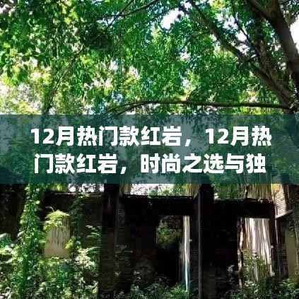 时尚之选与独特魅力的交汇点,红岩车型十二月热门推荐