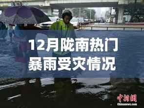 陇南暴雨下的暖心故事,友情、亲情与小趣事受灾情况回顾