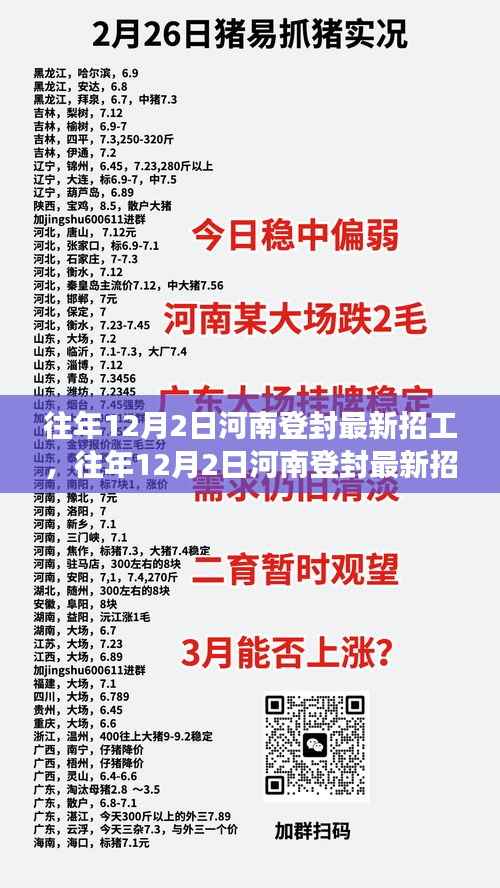 河南登封最新招工现象深度解析与观点阐述,历年12月2日招工趋势探讨