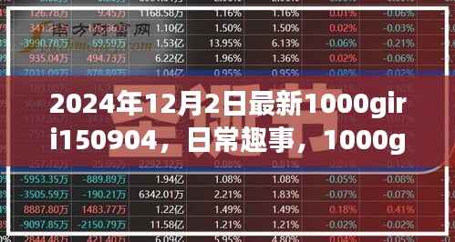 日常趣事分享,温馨的一天时光记录