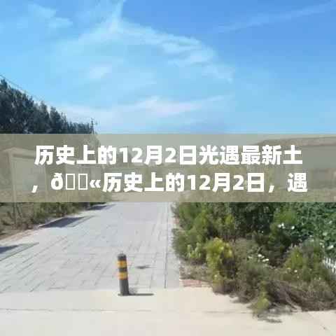淡泊以明志，宁静以致远 第4页