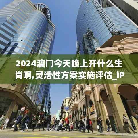 2024澳门今天晚上开什么生肖啊,灵活性方案实施评估_iPhone2.724-2