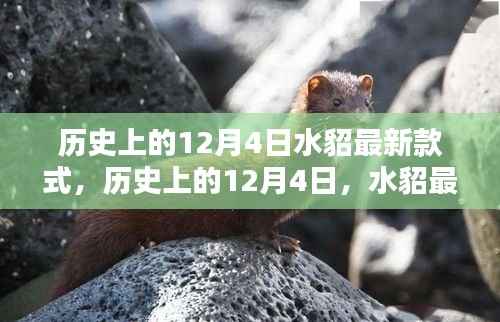 历史上的水貂最新款式深度评测与介绍,最新款式水貂时尚潮流解析