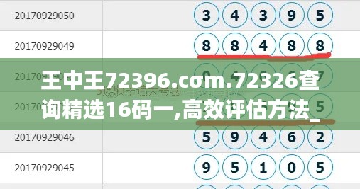 王中王72396.cσm.72326查询精选16码一,高效评估方法_苹果版64.956