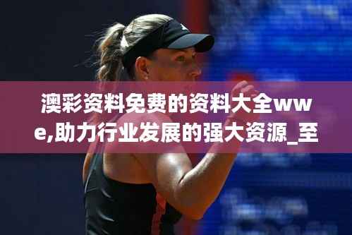 澳彩资料免费的资料大全wwe,助力行业发展的强大资源_至尊版5.779
