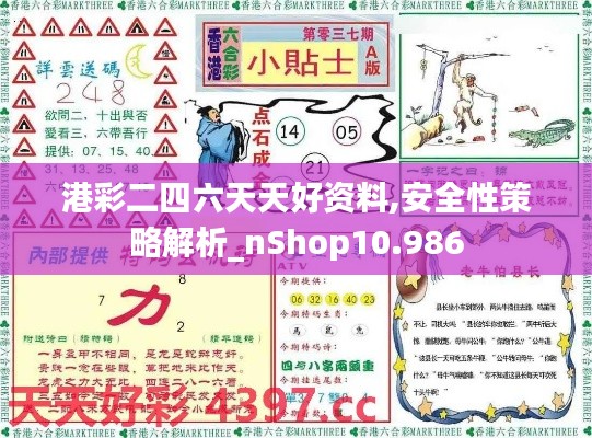 港彩二四六天天好资料,安全性策略解析_nShop10.986