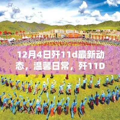 歼11D最新动态揭秘,新篇章开启与家的温馨日常