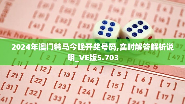 2024年澳门特马今晚开奖号码,实时解答解析说明_VE版5.703