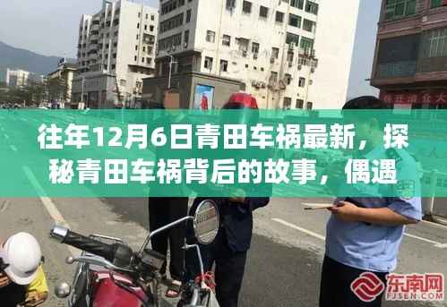 往年12月6日青田车祸最新,探秘青田车祸背后的故事,偶遇小巷深处的独特小店