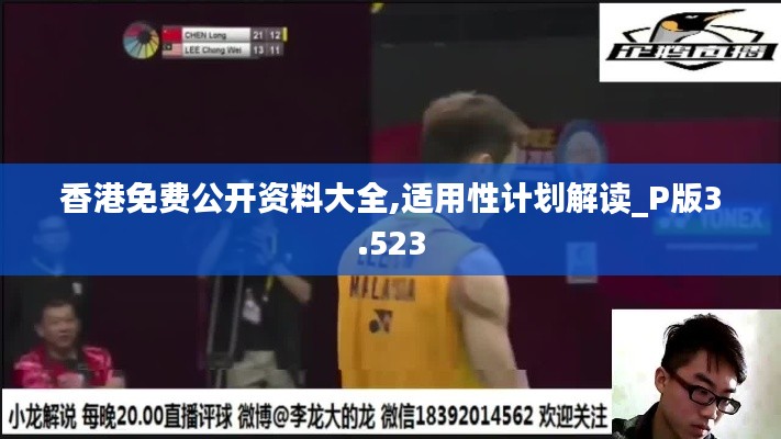 香港免费公开资料大全,适用性计划解读_P版3.523