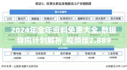 2024年全年资料免费大全,数据导向计划解析_视频版2.889
