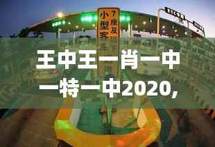 七贵三公 第3页