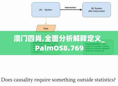 澳门四肖,全面分析解释定义_PalmOS8.769
