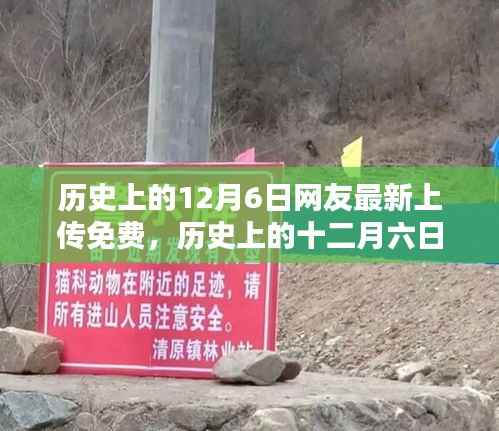 历史上的12月6日，网友最新免费上传历史资料分享