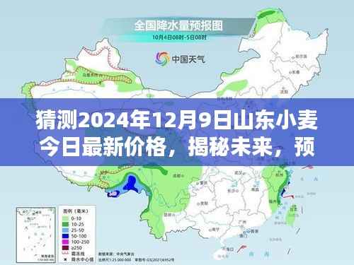 揭秘未来,预测山东小麦在2024年12月9日的最新价格走向及市场动态分析。