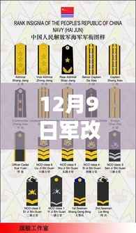 揭秘军改军衔设置新动态，小巷深处的特色小店与最新军衔图片展示