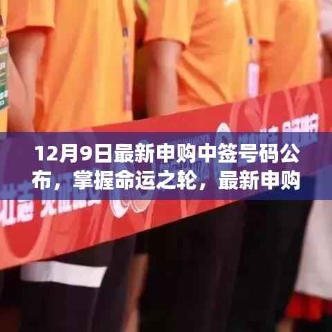 掌握命运之轮,最新申购中签号码公布及其背后的励志故事