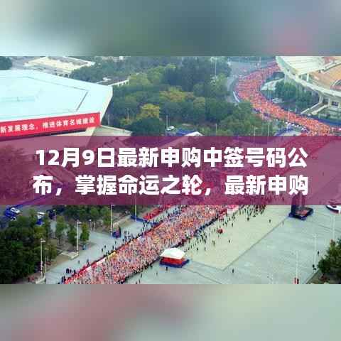 掌握命运之轮,最新申购中签号码公布及其背后的励志故事