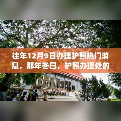 冬日护照办理处的暖心故事与热门消息回顾