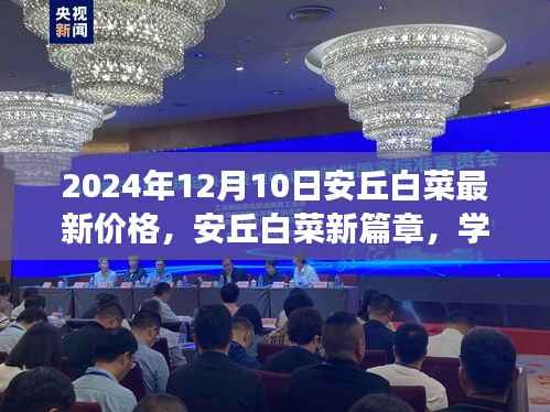 安丘白菜最新价格揭秘,学习变化的力量与白菜价格的奇妙之旅(2024年12月10日)