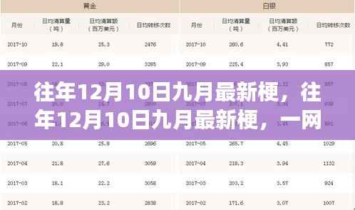 揭秘九月最新网络热梗与流行文化背后的故事,一网打尽往年12月10日热点资讯