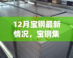 宝钢集团最新动态深度解析,产品特性、用户体验与目标用户分析报告