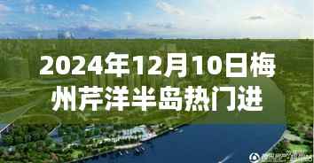 2024年12月10日梅州芹洋半岛的新篇章,热土之上的温馨日常