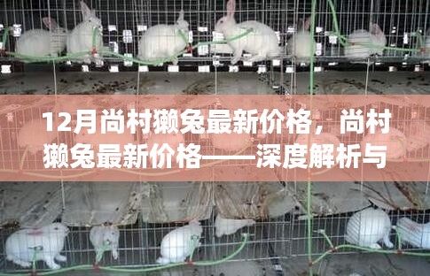 尚村獭兔最新价格深度解析,市场趋势预测与深度探讨