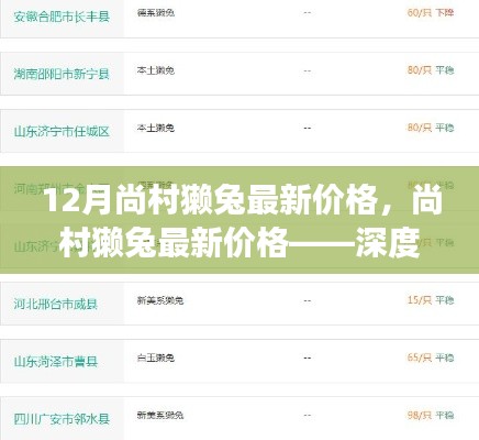 尚村獭兔最新价格深度解析,市场趋势预测与深度探讨