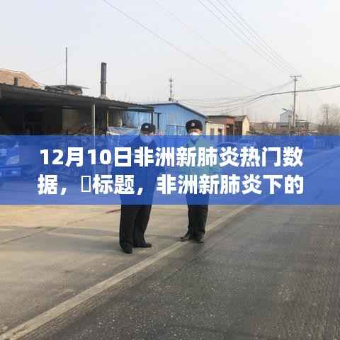 非洲新肺炎下的自然之旅,探寻内心平静与宁静之美的旅程