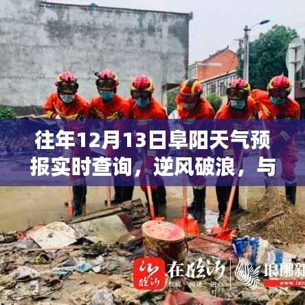 历年阜阳冬至天气预报背后的逆风破浪励志故事与实时查询功能介绍