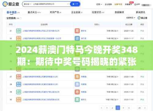 2024薪澳门特马今晚开奖348期:期待中奖号码揭晓的紧张时刻