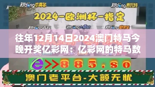 往年12月14日2024澳门特马今晚开奖亿彩网:亿彩网的特马数据分析