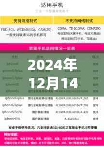 2024年12月14日新澳门王中王100%期期中:一次极限挑战,终身难忘的回忆