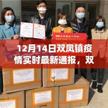 双凤镇疫情最新动态下的美食宝藏，疫情实时通报与独特风味探索