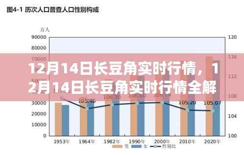 12月14日长豆角实时行情解析与商机洞察指南