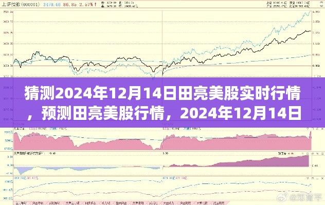 田亮美股行情预测,深度洞察2024年12月14日市场走势