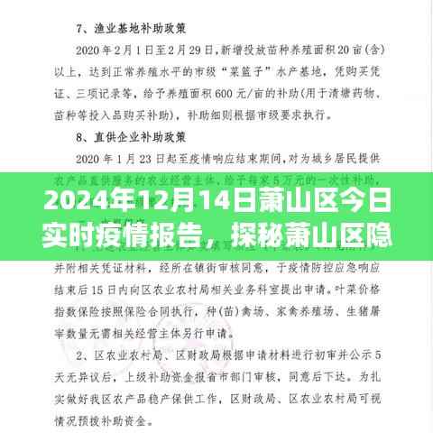 2024年萧山区疫情实时报告,隐秘小巷与美食秘境的探秘之旅