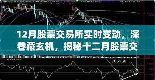 揭秘十二月股票交易所实时风云变幻,深巷中的玄机与实时变动分析