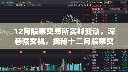 揭秘十二月股票交易所实时风云变幻,深巷中的玄机与实时变动分析