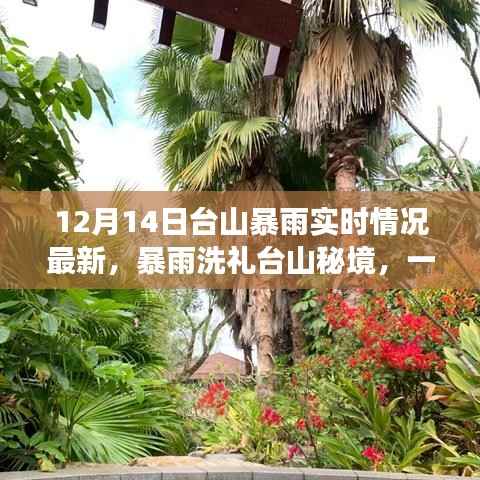 鸟声兽心 第4页