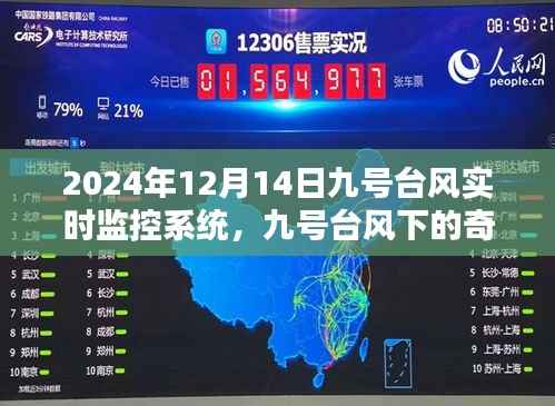 九号台风下的奇妙探险,实时监控系统记录与自然美景共舞的日子