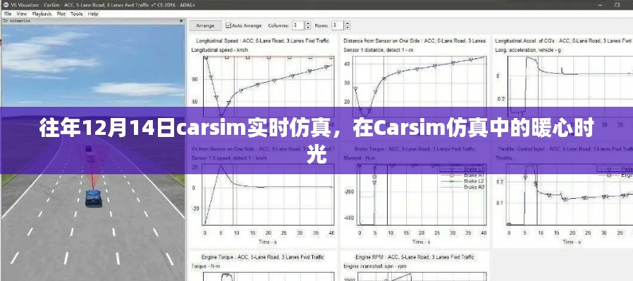 Carsim仿真中的暖心时光,历年12月14日实时仿真回顾