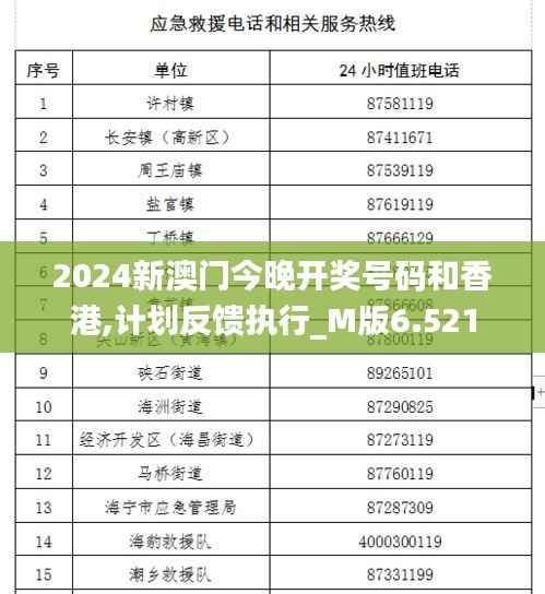 2024新澳门今晚开奖号码和香港,计划反馈执行_M版6.521